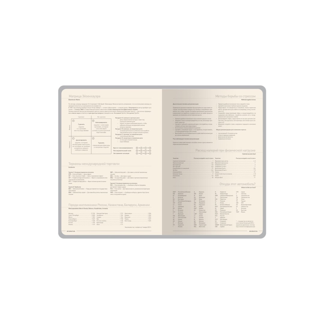 Ежедневник А5 датированный "Megapolis Loft" на 2026, пудровый розовый