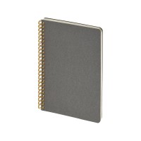 Бизнес тетрадь на гребне А5 "Pragmatic", 60 листов в клетку, серый