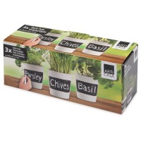 Набор горшочков для растений «Chalk pots», 3шт