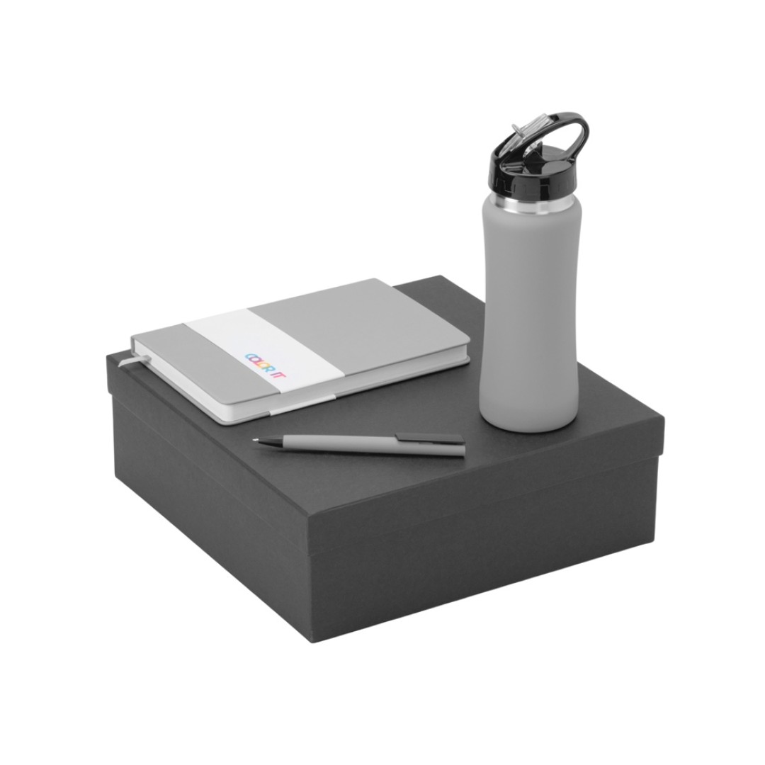 Подарочный набор c блокнотом C2, ручкой и бутылкой, серый
