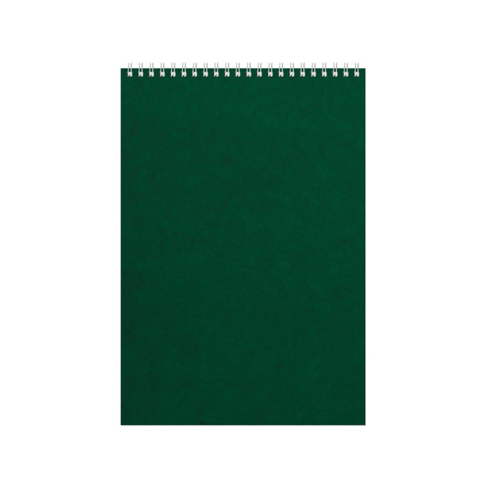 Бизнес - блокнот Альт А4 (198 х 285 мм) "Office" 60 л., зеленый
