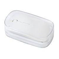 Мышь оптическая беспроводная «Desmo» в кейсе, слоновая кость