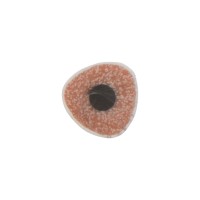 Трехгранный карандаш "Conti" из переработанных контейнеров, белый