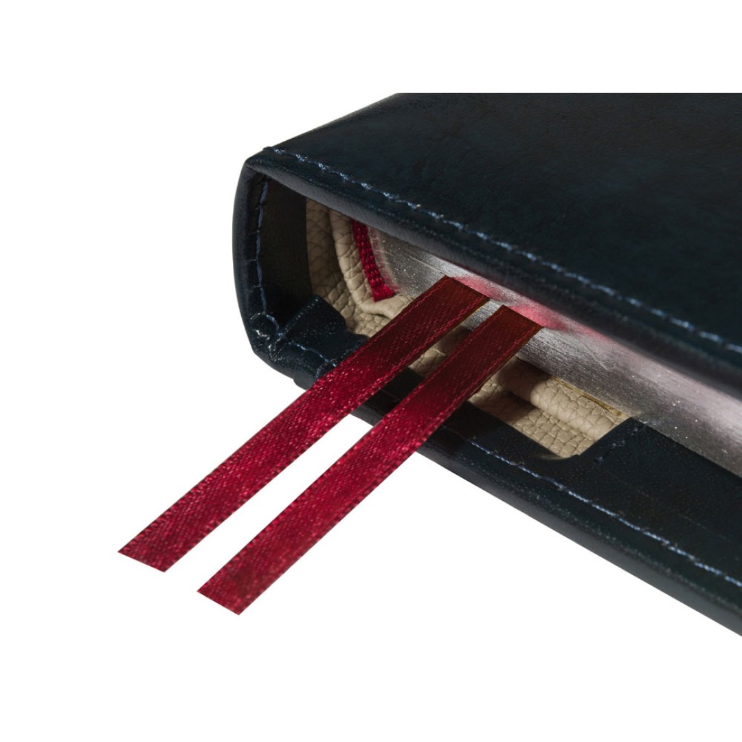 Ежедневник полудатированный А5 "Windsor", синий