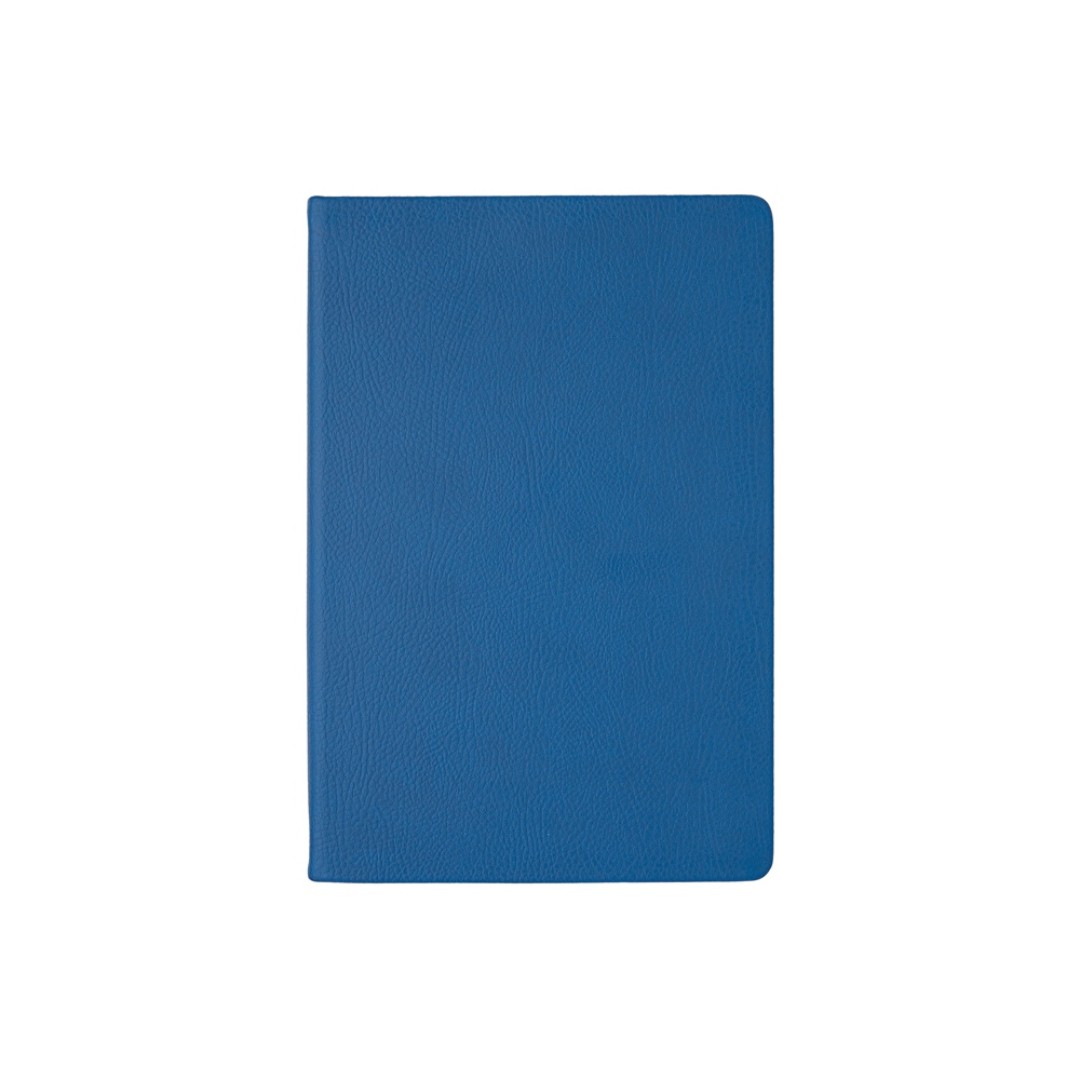 Ежедневник А5 датированный "Megapolis Nappa" на 2026, синий