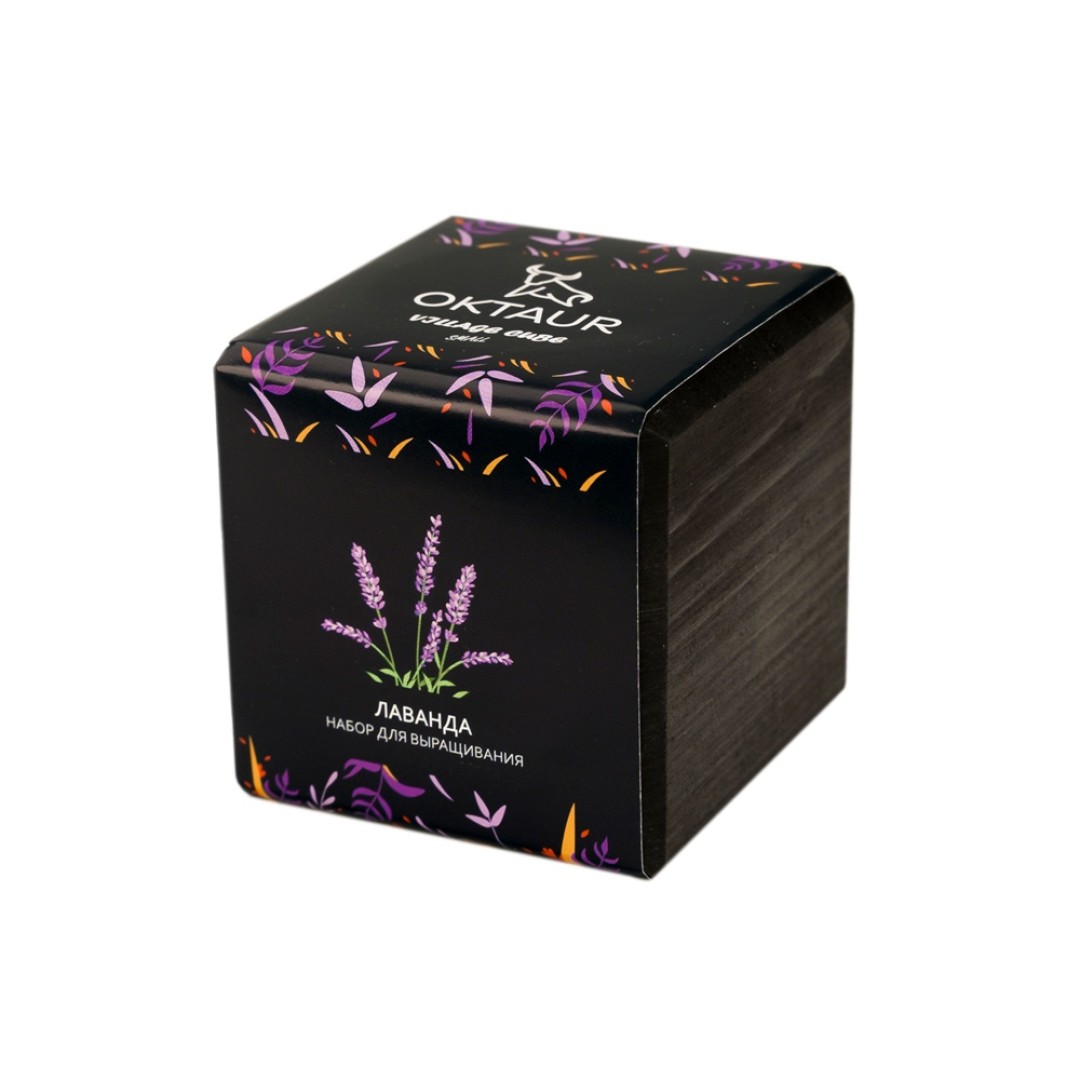 Набор для выращивания "Small village cube "Лаванда"