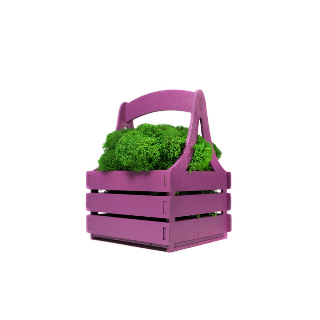 Композиция "Корзинка со мхом", фиолетовый
