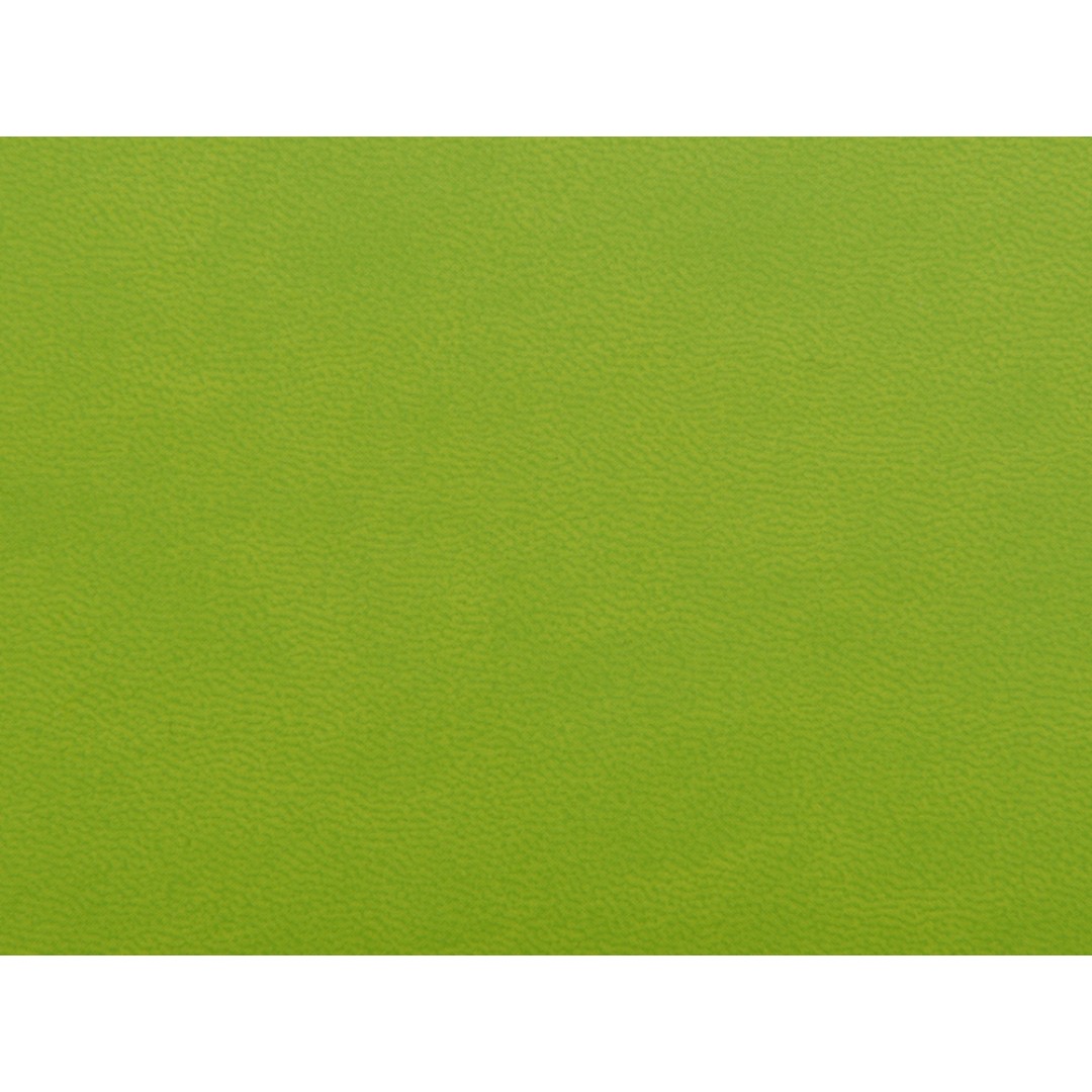 Блокнот А6 Riner, зеленое яблоко