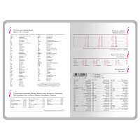 Ежедневник недатированный А5+ "Россия. Флаг"