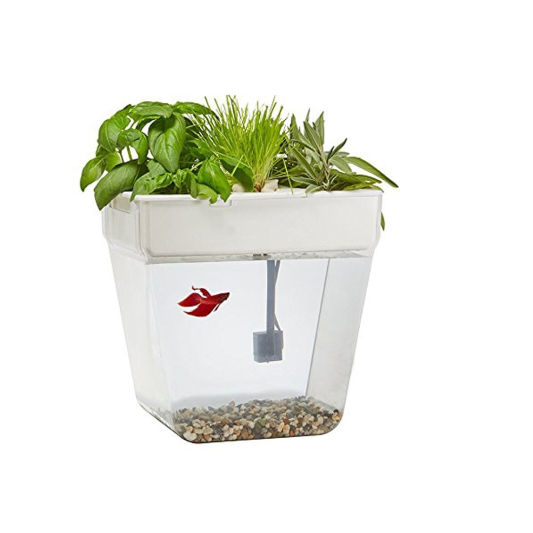 Набор для выращивания растений и ухода за рыбкой "Акваферма"