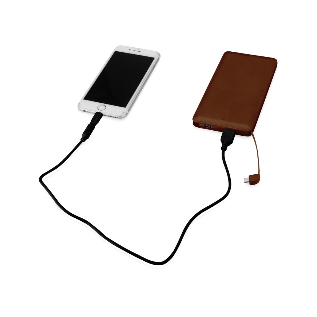 Портативное зарядное устройство "Стор", 10000 mAh, коричневый
