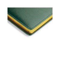 Ежедневник недатированный А4 "Sidney Nebraska", зеленый (золотой обрез) (Р)