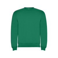 Свитшот с начесом "Clasica" унисекс, зеленый