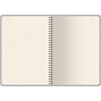 Бизнес тетрадь на гребне А5 "Pragmatic", 60 листов в клетку, оранжевый