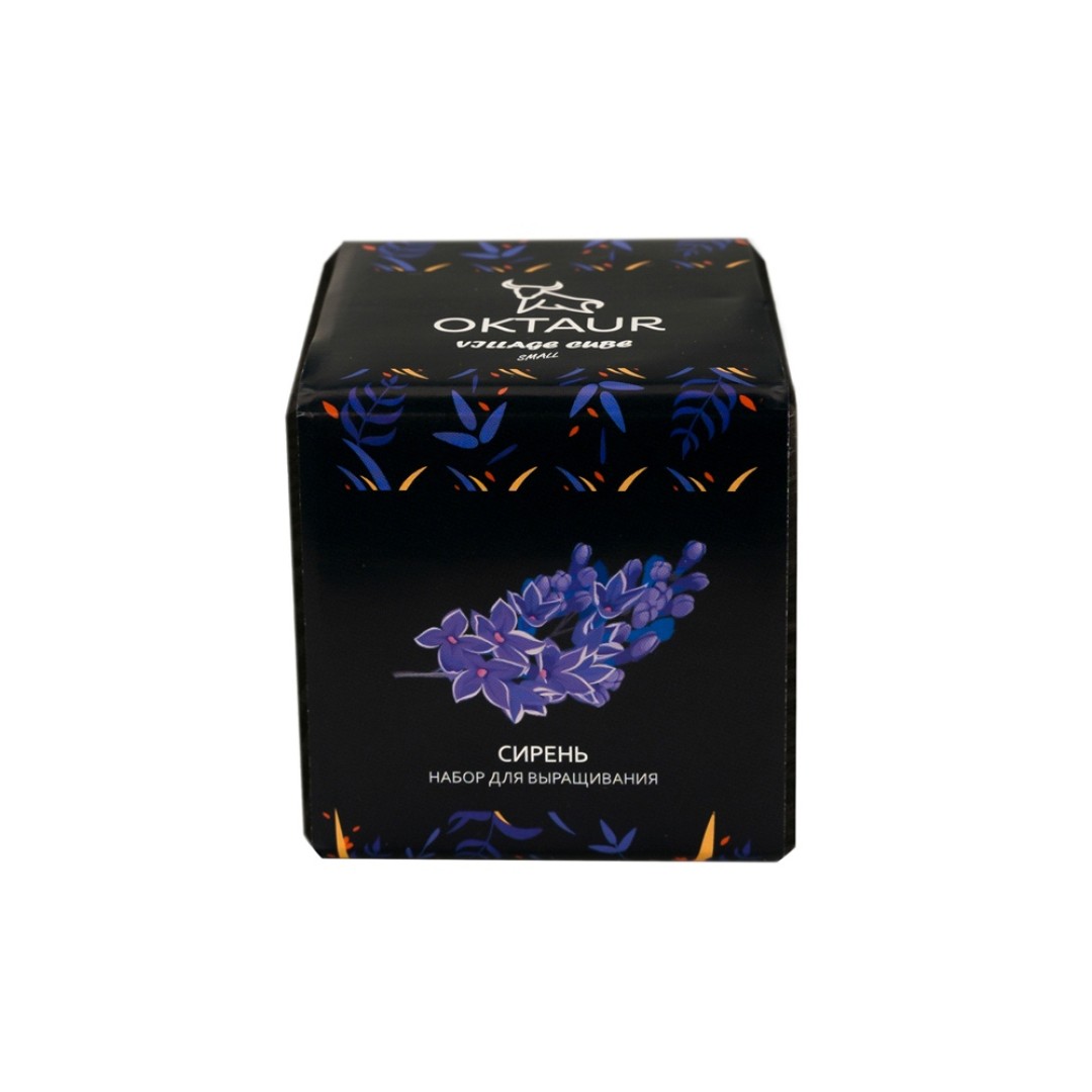 Набор для выращивания "Small village cube "Сирень"