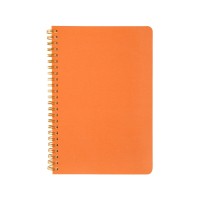 Бизнес тетрадь на гребне А5 "Pragmatic", 60 листов в клетку, оранжевый