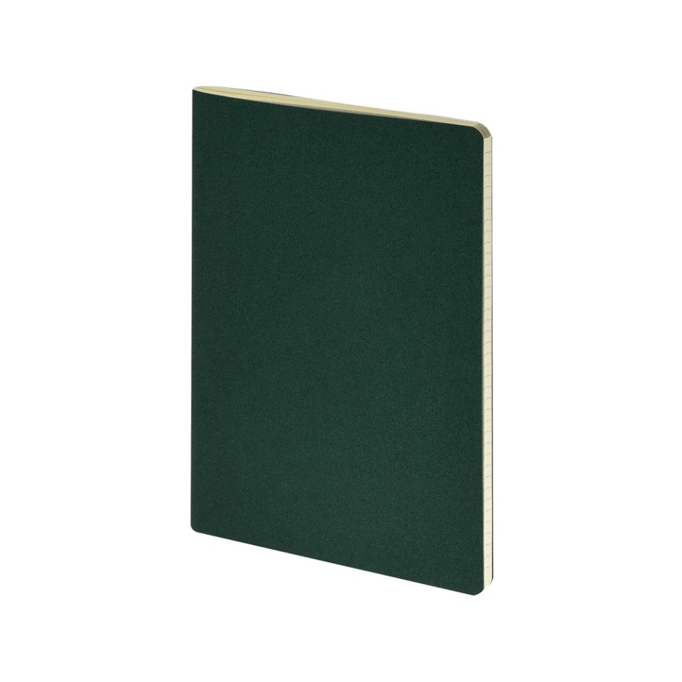 Бизнес-тетрадь А4 "Pragmatic",  40л., клетка, зеленый
