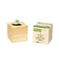 Набор для выращивания "Экокуб Classic "Лиственница Сибирская"