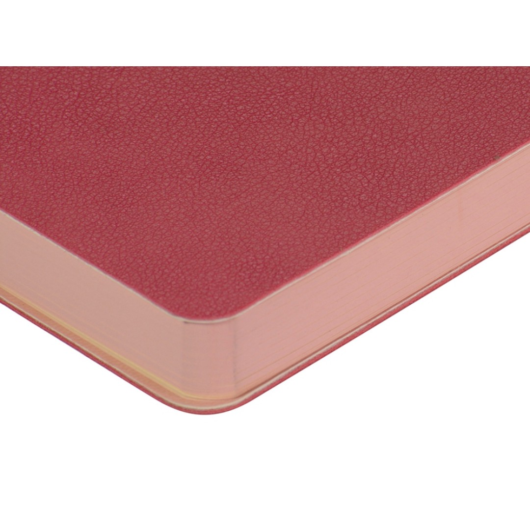 Ежедневник А5 датированный "Boston" 2026, розовый