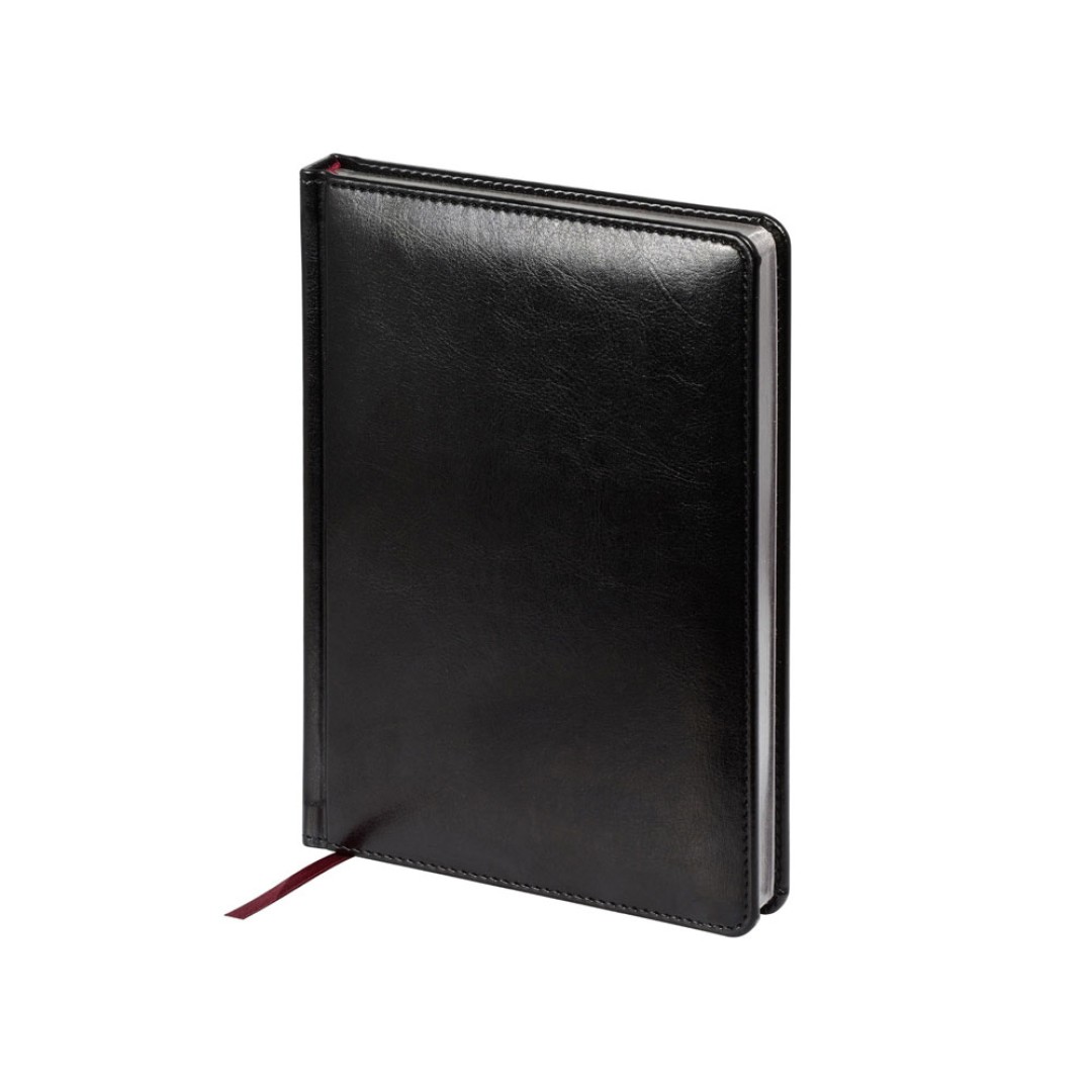 Ежедневник недатированный А5 "Sidney Nebraska", черный (серебряный обрез)