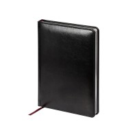 Ежедневник недатированный А5 "Sidney Nebraska", черный (серебряный обрез)