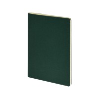 Бизнес тетрадь А5 "Pragmatic", 40 листов в клетку, зеленый