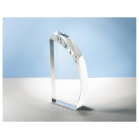 Награда "Sail S", прозрачный