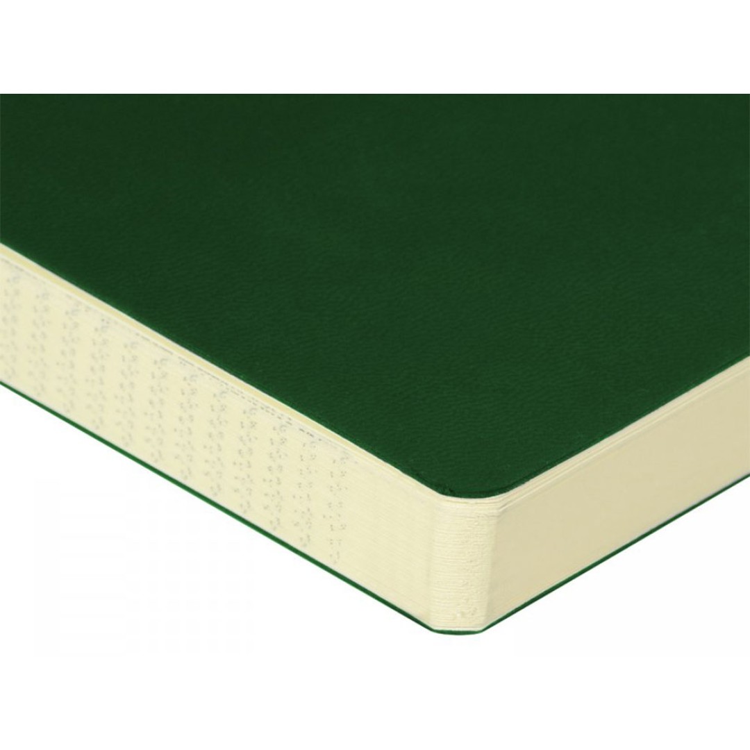 ЕЖЕДНЕВНИК недатированный А5- "MEGAPOLIS FLEX QUATTRO" (ЗЕЛЕНЫЙ)