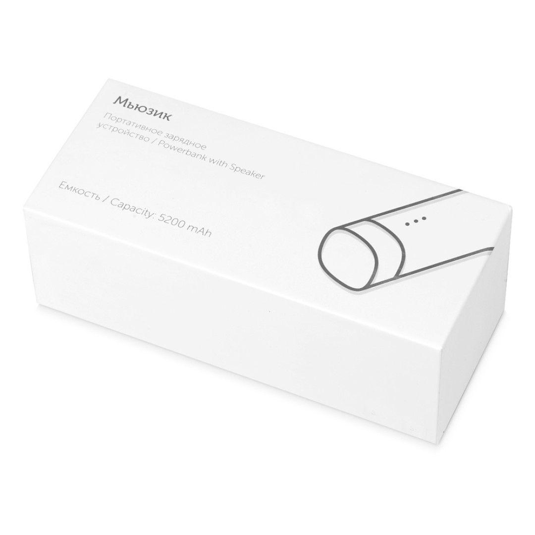 Портативное зарядное устройство "Мьюзик", 5200 mAh, серебристый