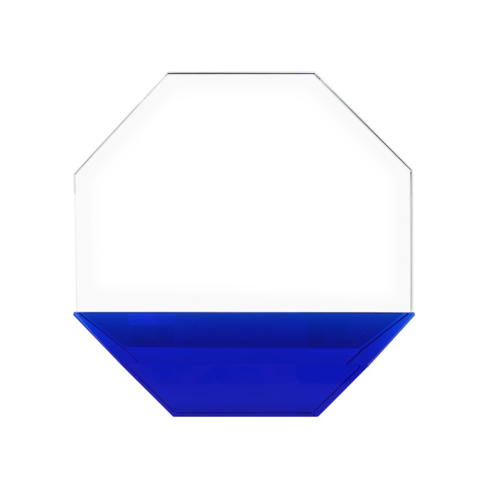 Награда "Octagon"