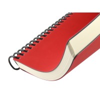 Ежедневник недатированный на спирали А5 "Agenda", красный (Р)
