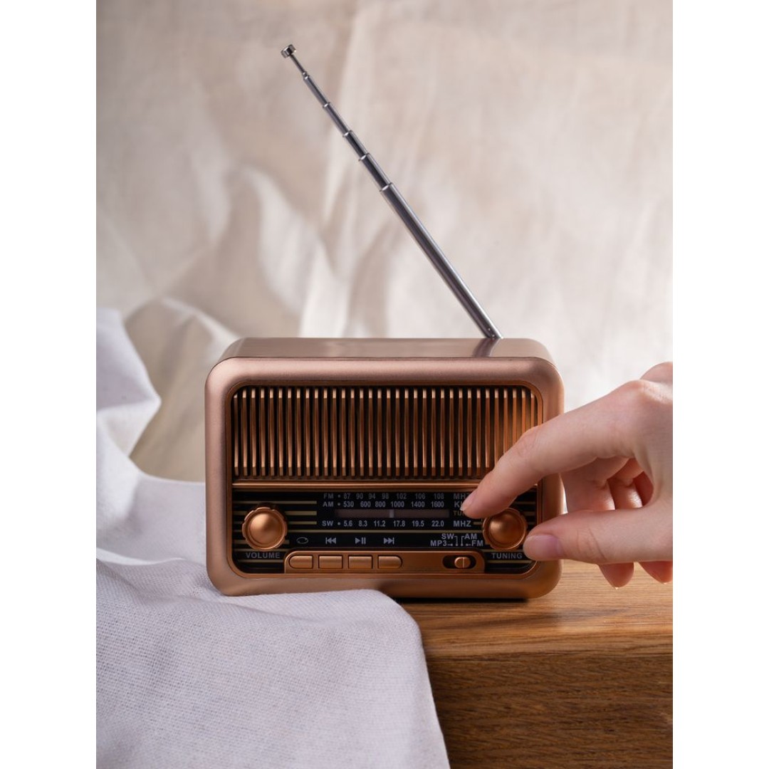 Bluetooth-колонка с радио Beatnik, коричневая