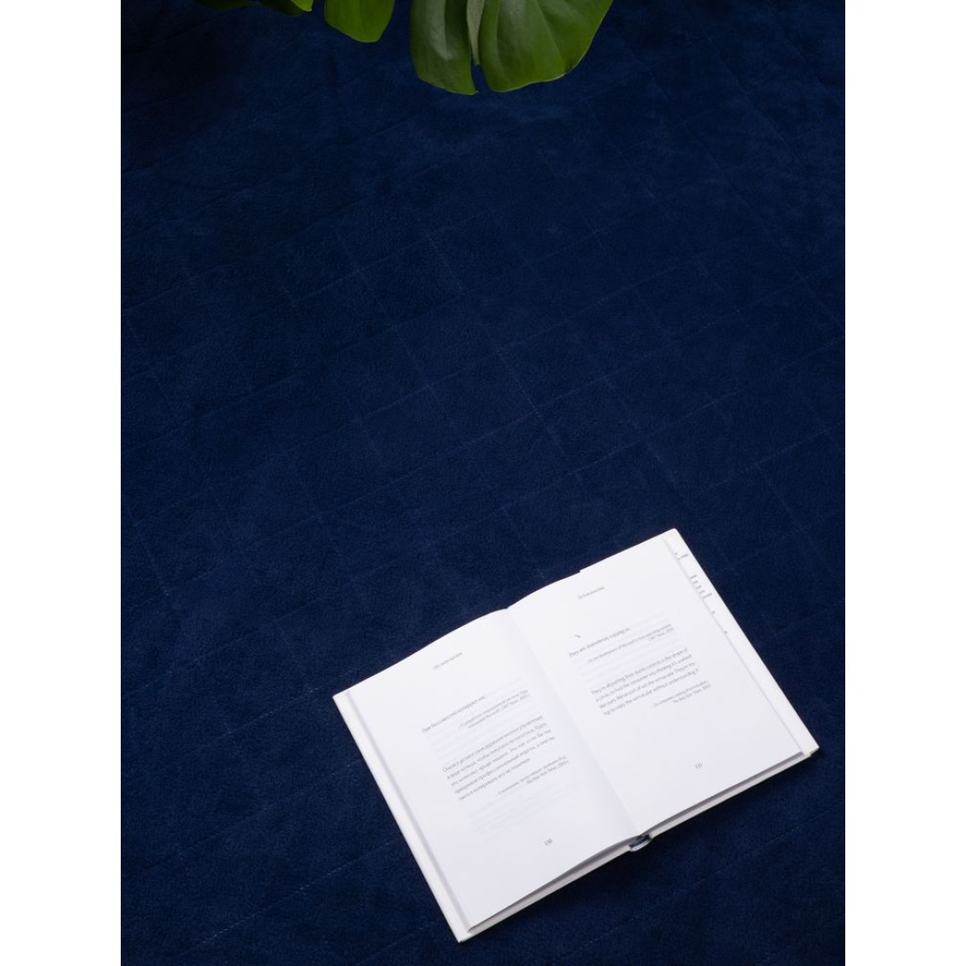 Плед для пикника Soft & Dry 2, синий