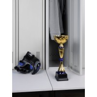 Кубок Awardee, средний, синий