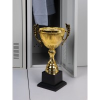 Кубок Spica, большой, золотистый