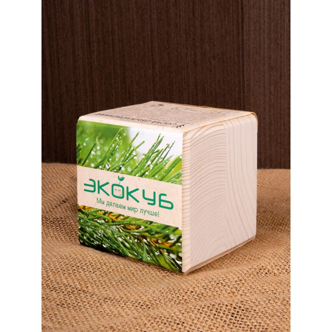 Набор для выращивания «Экокуб», сосна