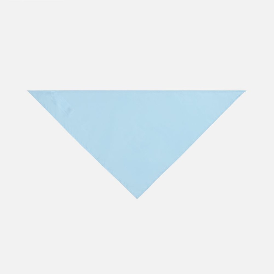 Шейный платок Bandana, голубой