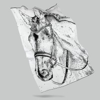 Плед «Вороной»