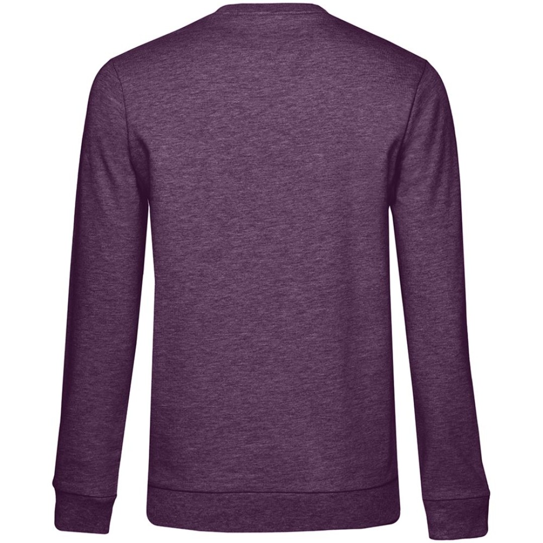 Свитшот женский Set In, фиолетовый меланж, L