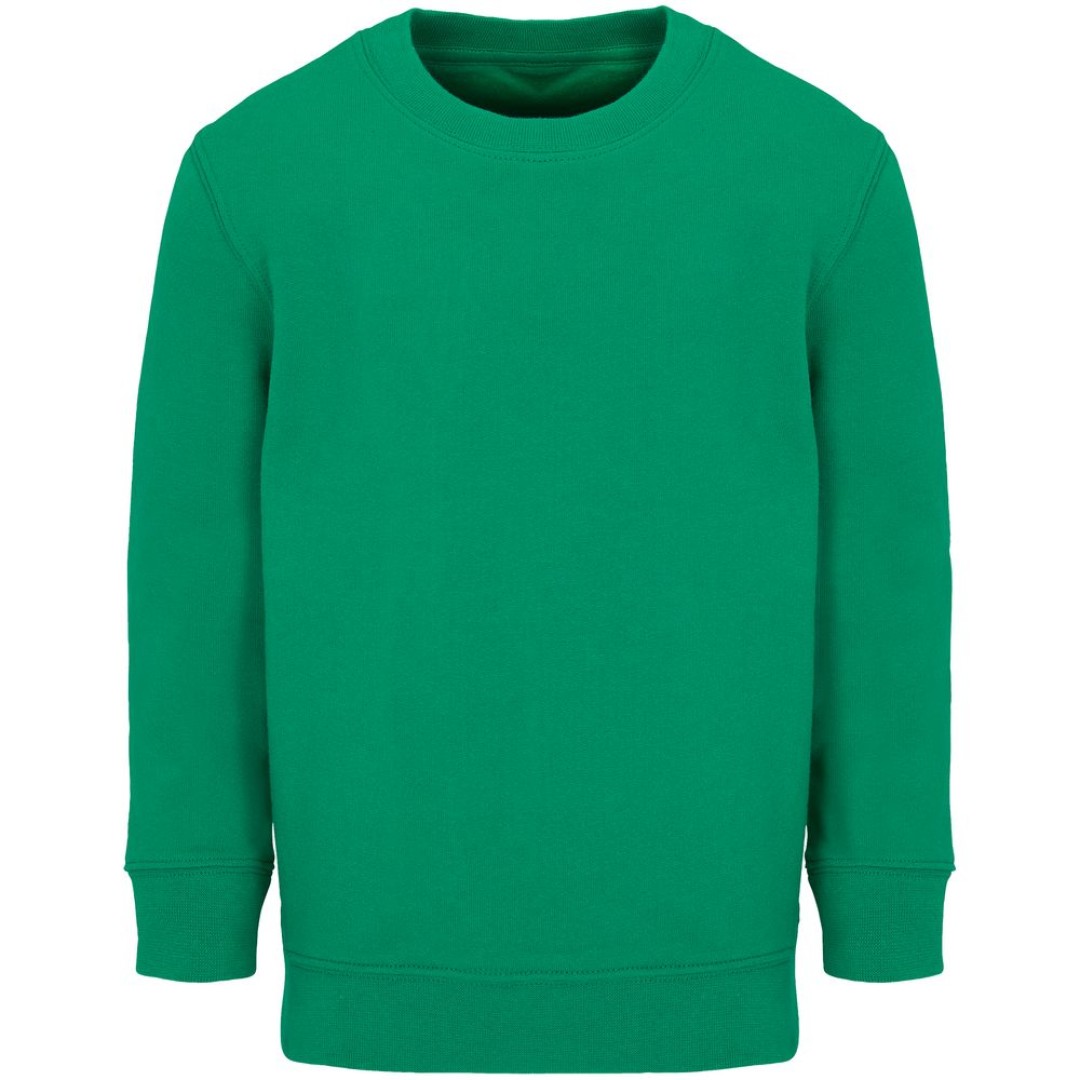 Свитшот детский Columbia Kids, ярко-зеленый, на рост 154-164