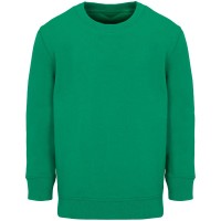 Свитшот детский Columbia Kids, ярко-зеленый, на рост 154-164