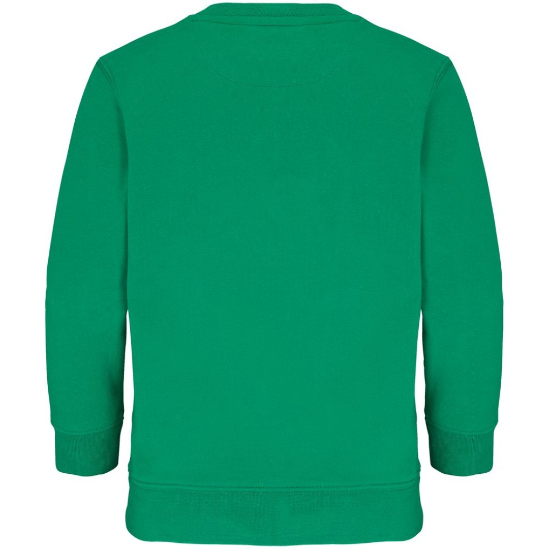 Свитшот детский Columbia Kids, ярко-зеленый, на рост 154-164
