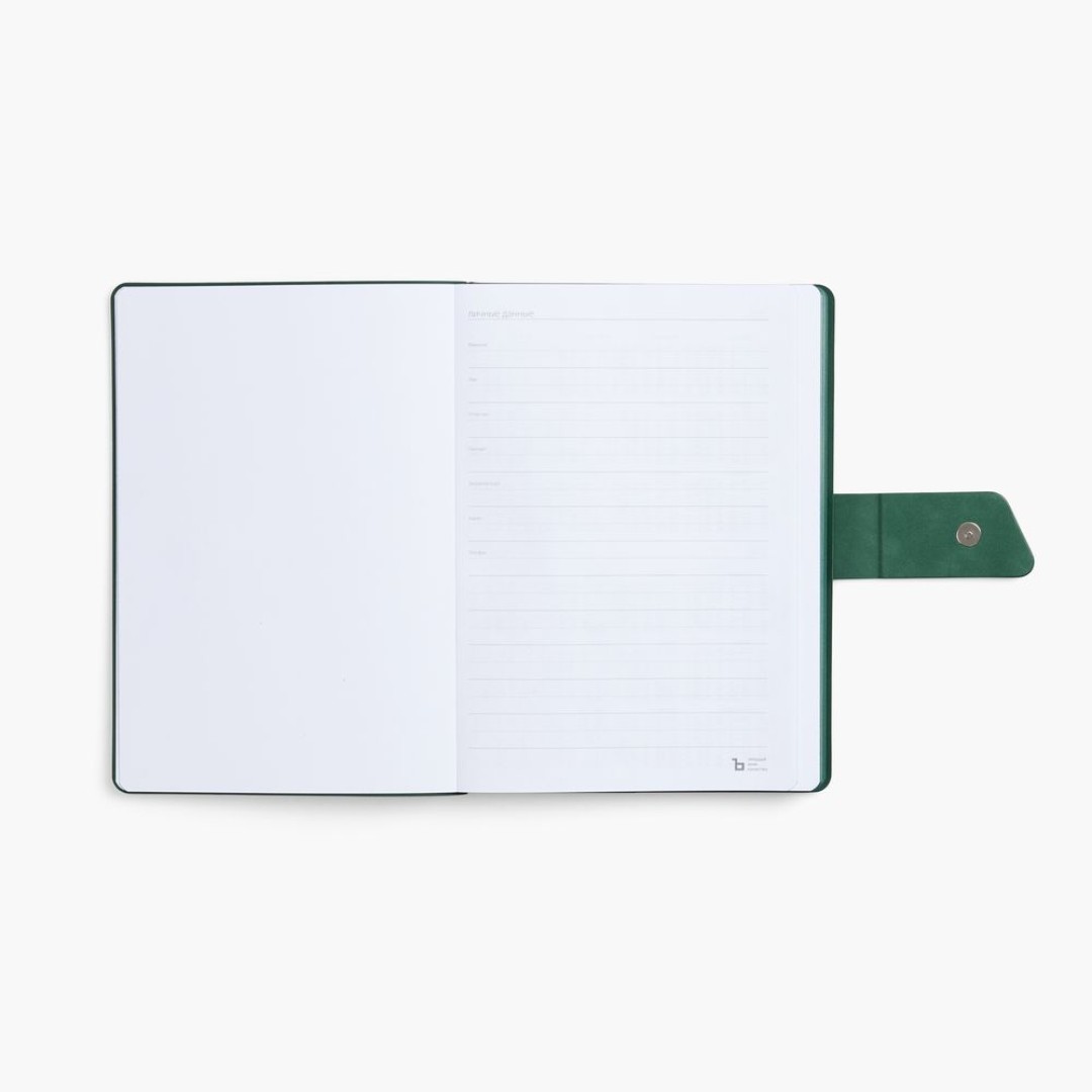 Ежедневник Boom, недатированный, черный с зеленым