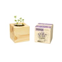 Набор для выращивания «Экокуб», лаванда