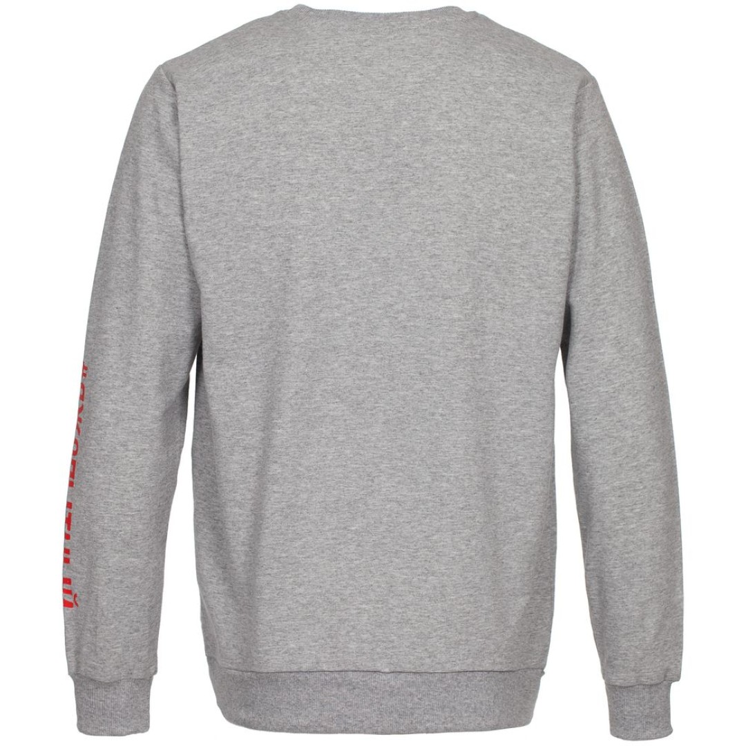 Толстовка «Ногиотушей», серый меланж, S