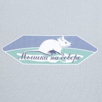 Футболка мужская «Мышка на севере», голубая, S