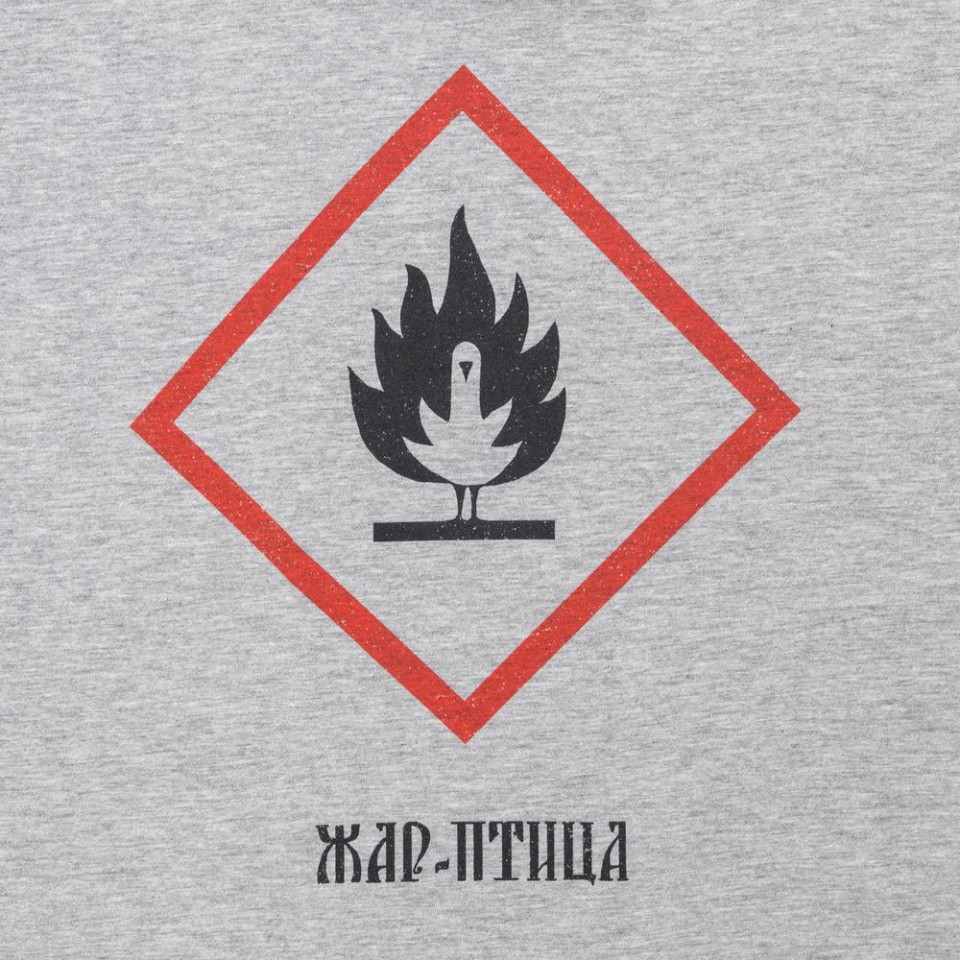 Футболка «Жар-птица», серый меланж, S