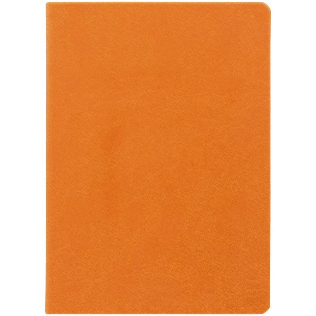 Ежедневник Basis, датированный, оранжевый