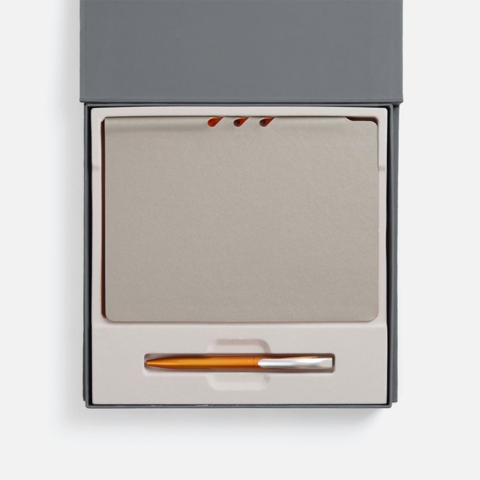 Набор Flexpen Grey, оранжевый