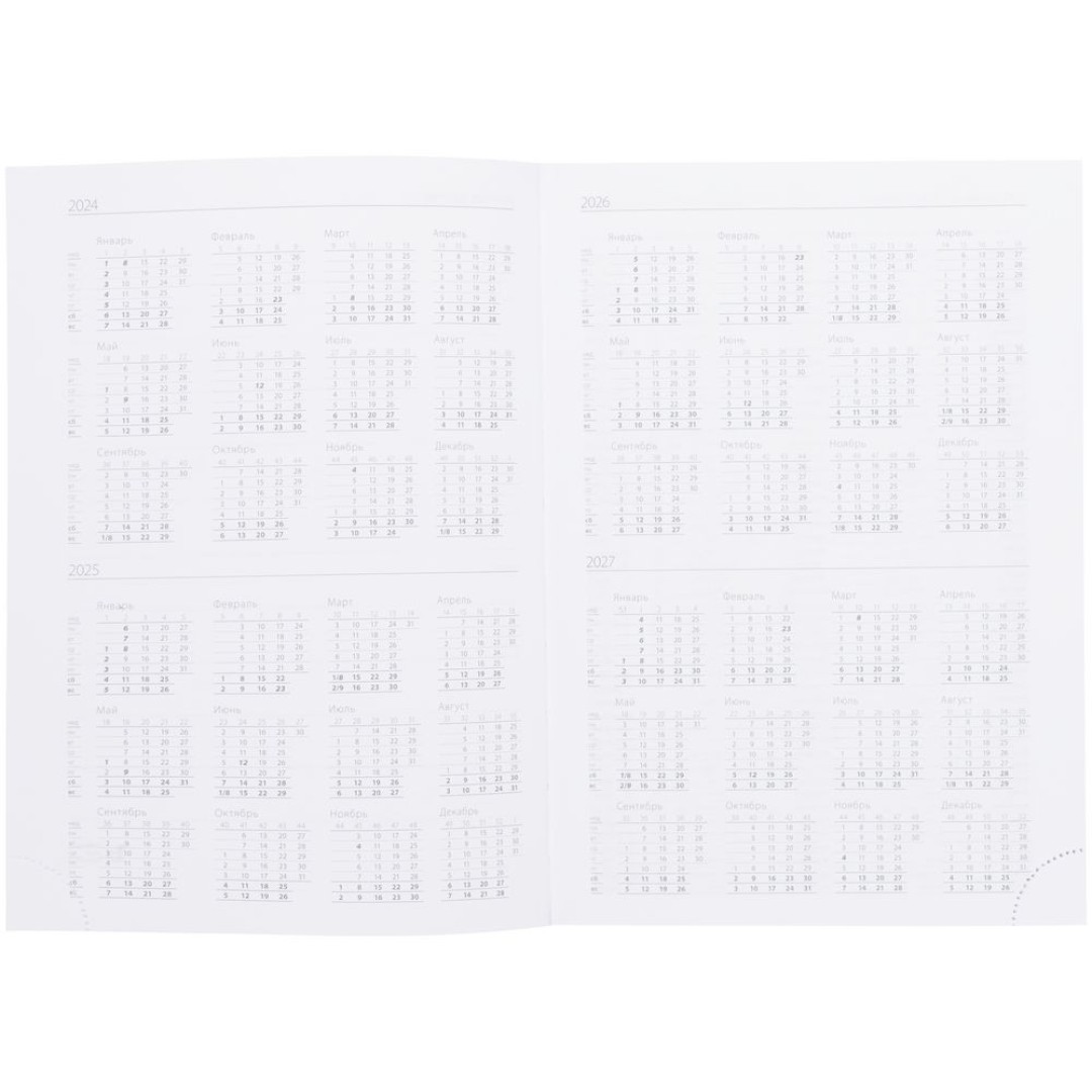 Ежедневник Vivian Metal, недатированный, голубой